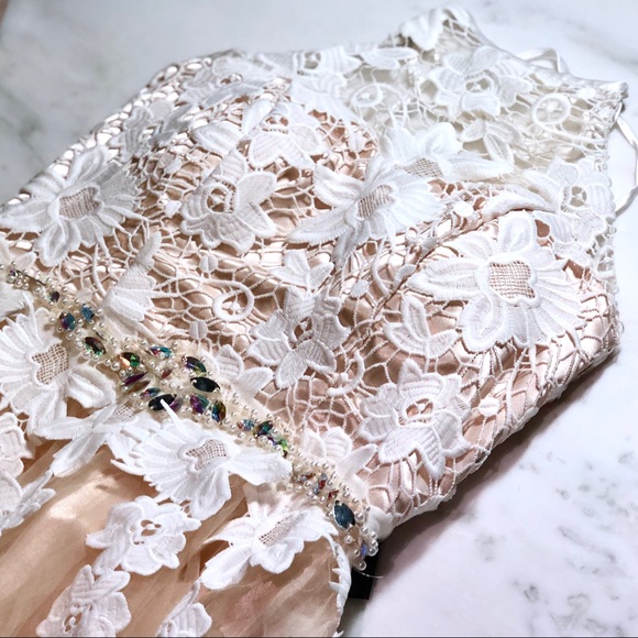 Lace Over Nude Align Evening Gown Wedding Dress - Picture 2 of 8